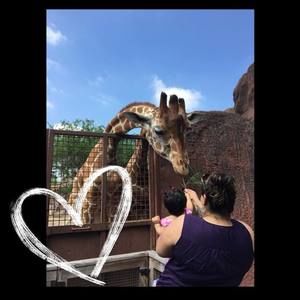 Meet your Posher, Karina